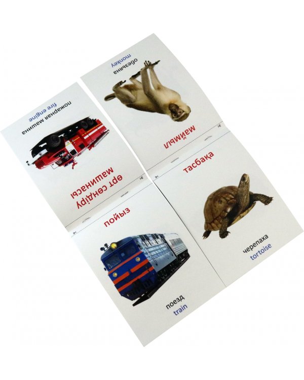 Набор книг по методике Г. Домана на казахском языке, 8 штук