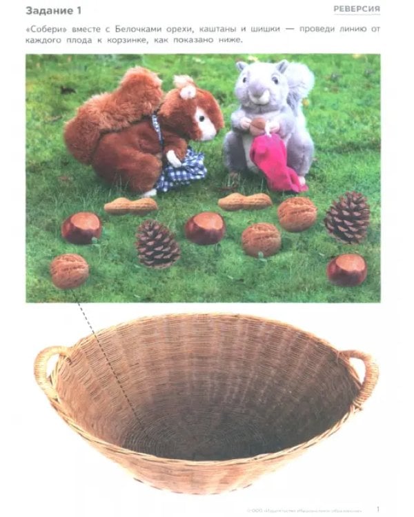 Математика с удовольствием! Инклюзивное обучение математике детей с особенностями развития. Комплект