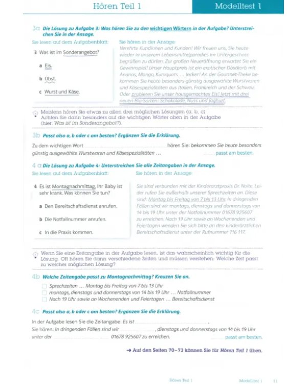 Mit Erfolg zum Deutsch-Test fur Zuwanderer A2-B1 (DTZ). Ubungs- und Testbuch