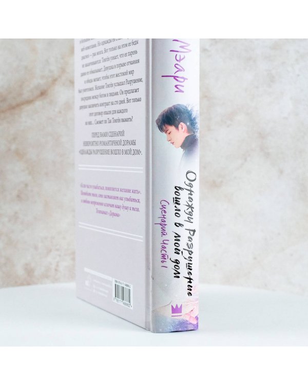 Однажды Разрушение вошло в мой дом. Сценарий. Часть 1