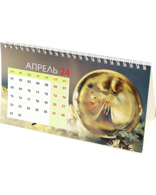 Календарь настольный на 2024 год Green 1