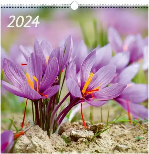 Календарь настенный на 2024 год Цветы 7