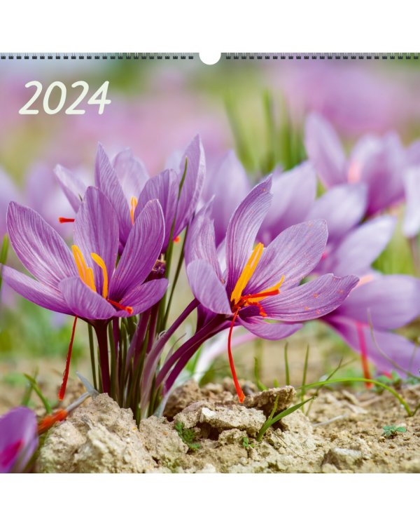 Календарь настенный на 2024 год Цветы 7