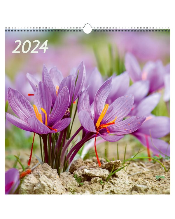 Календарь настенный на 2024 год Цветы 7