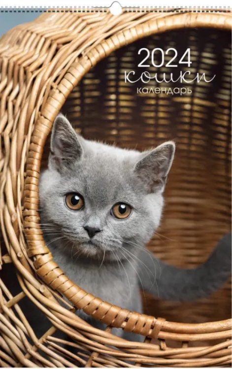 Календарь настенный на 2024 год Домашние любимцы 5