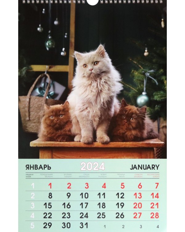 Календарь настенный на 2024 год Домашние любимцы 5