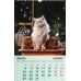 Календарь настенный на 2024 год Домашние любимцы 5