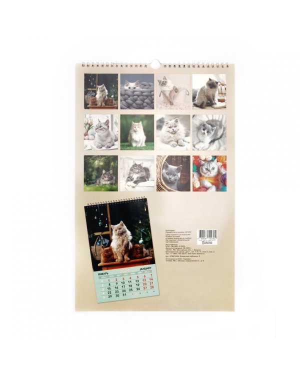 Календарь настенный на 2024 год Домашние любимцы 5