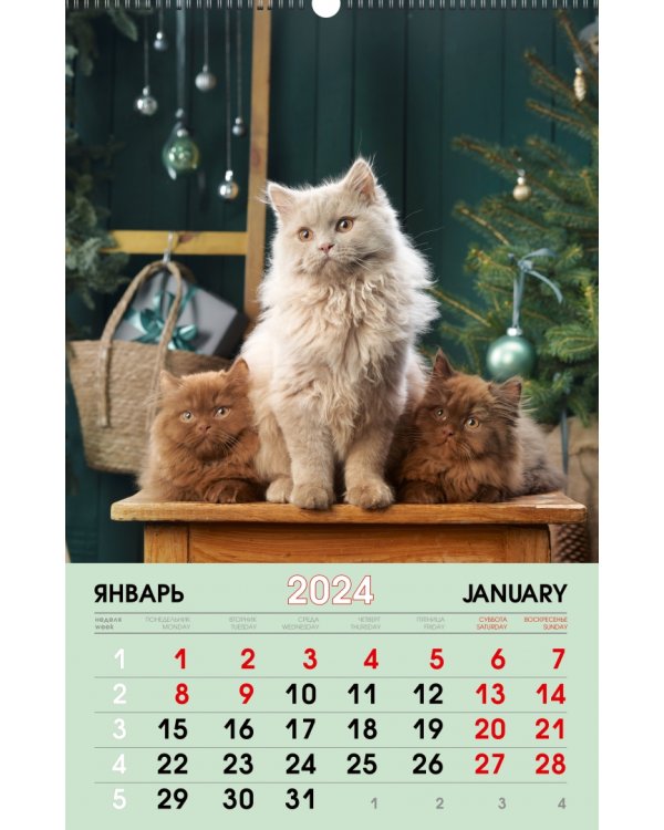 Календарь настенный на 2024 год Домашние любимцы 5