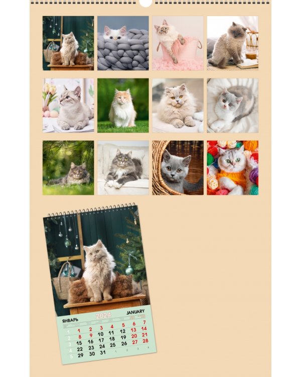 Календарь настенный на 2024 год Домашние любимцы 5