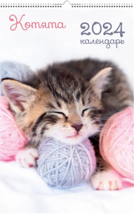 Календарь настенный на 2024 год Домашние любимцы