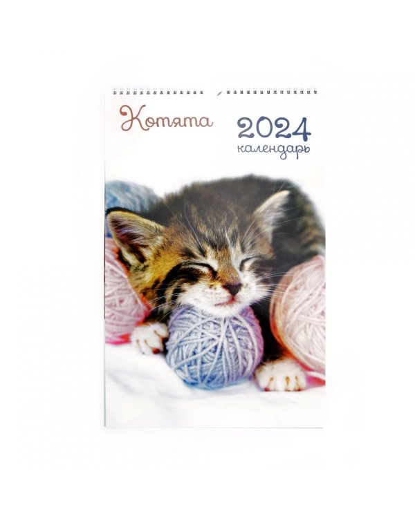 Календарь настенный на 2024 год Домашние любимцы
