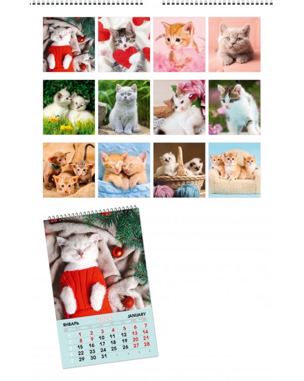 Календарь настенный на 2024 год Домашние любимцы