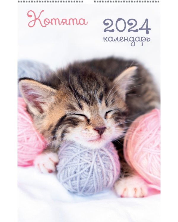Календарь настенный на 2024 год Домашние любимцы