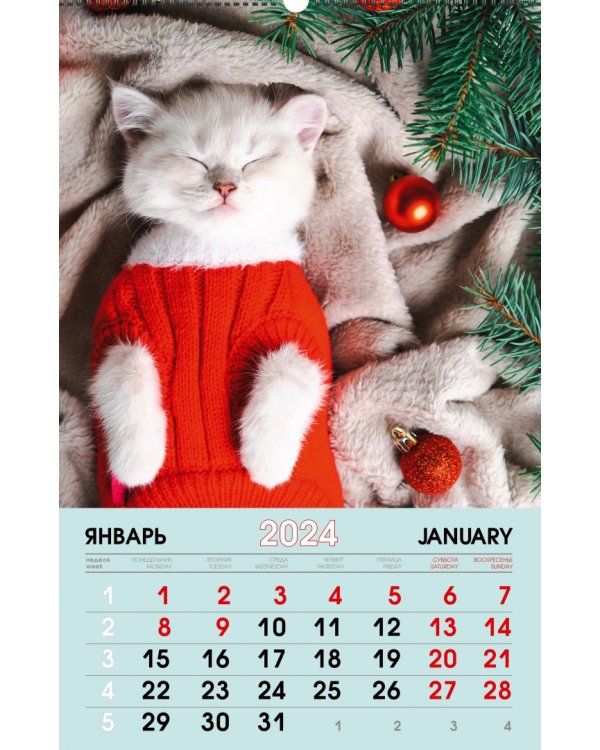 Календарь настенный на 2024 год Домашние любимцы