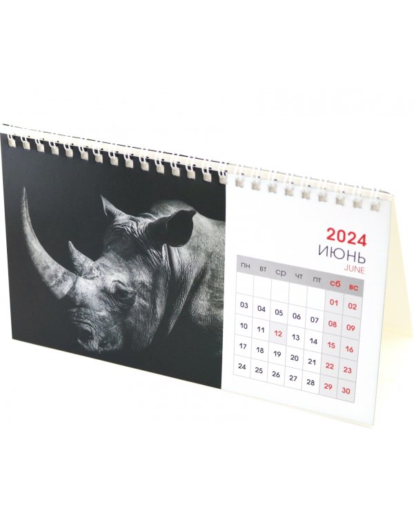 Календарь настольный на 2024 год Wild animals