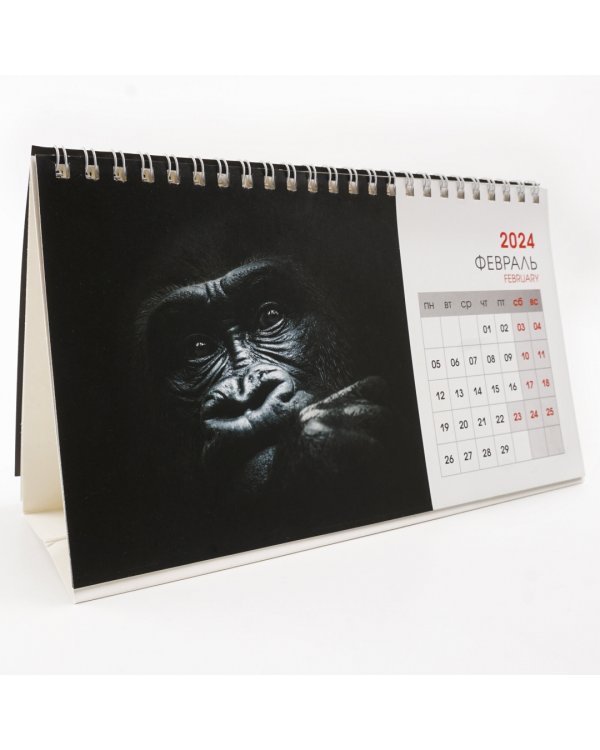 Календарь настольный на 2024 год Wild animals