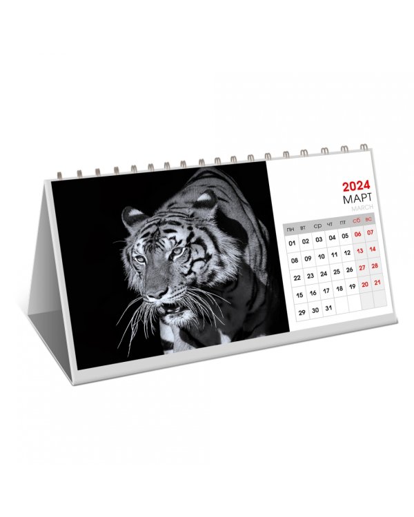 Календарь настольный на 2024 год Wild animals