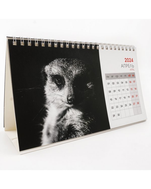 Календарь настольный на 2024 год Wild animals