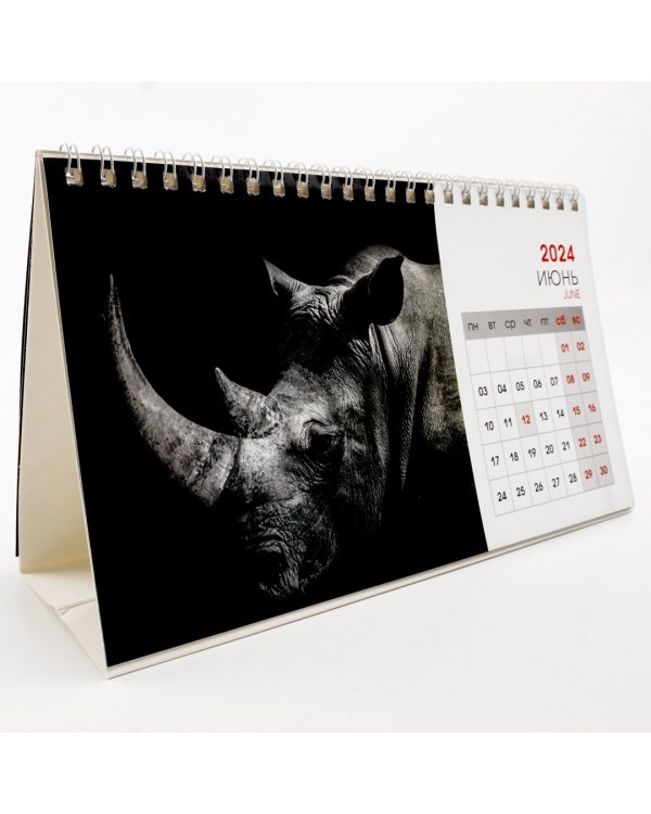 Календарь настольный на 2024 год Wild animals