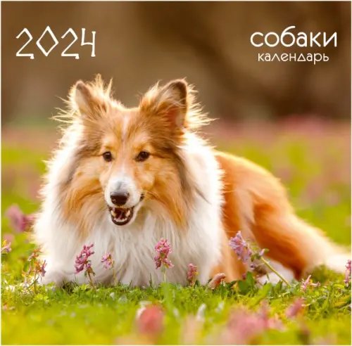 Календарь настенный на 2024 год Домашние любимцы