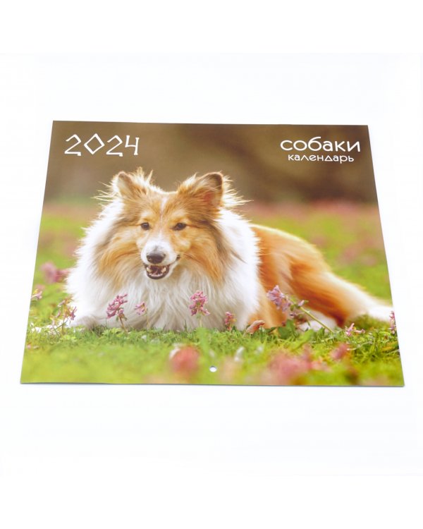 Календарь настенный на 2024 год Домашние любимцы