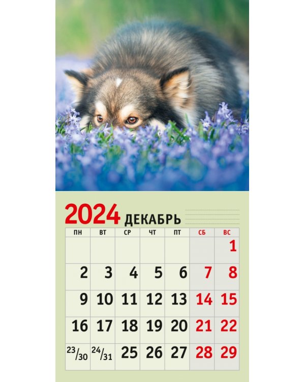 Календарь настенный на 2024 год Домашние любимцы