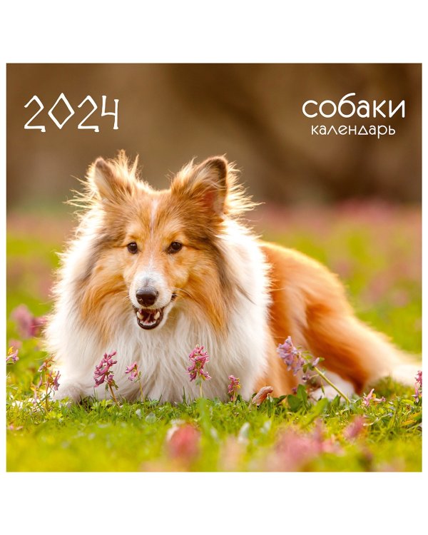 Календарь настенный на 2024 год Домашние любимцы
