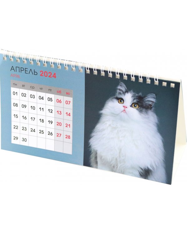 Календарь настольный на 2024 год Котики 1