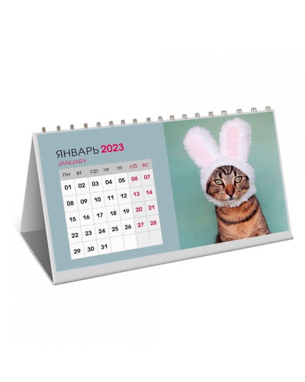 Календарь настольный на 2024 год Котики 1