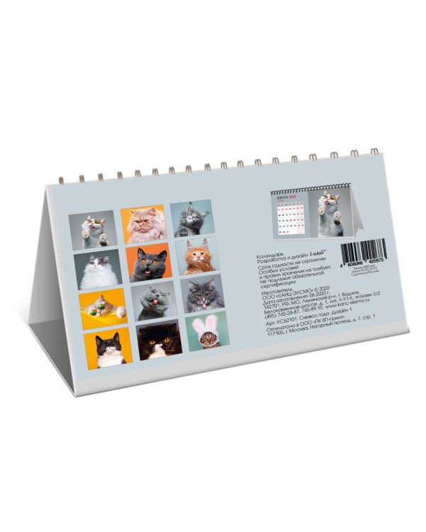 Календарь настольный на 2024 год Котики 1