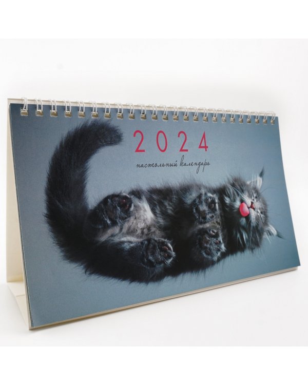Календарь настольный на 2024 год Котики 1