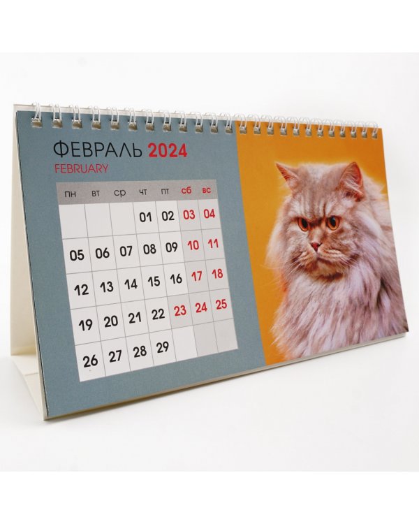Календарь настольный на 2024 год Котики 1