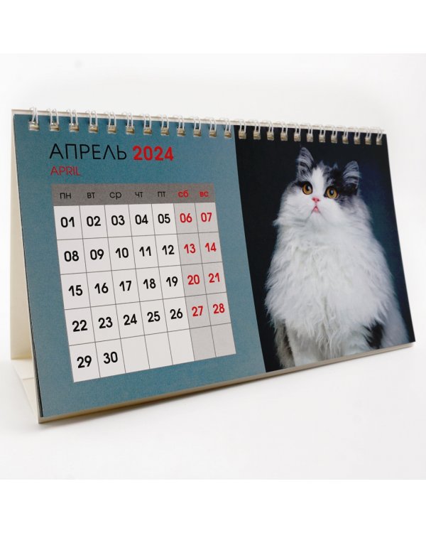 Календарь настольный на 2024 год Котики 1