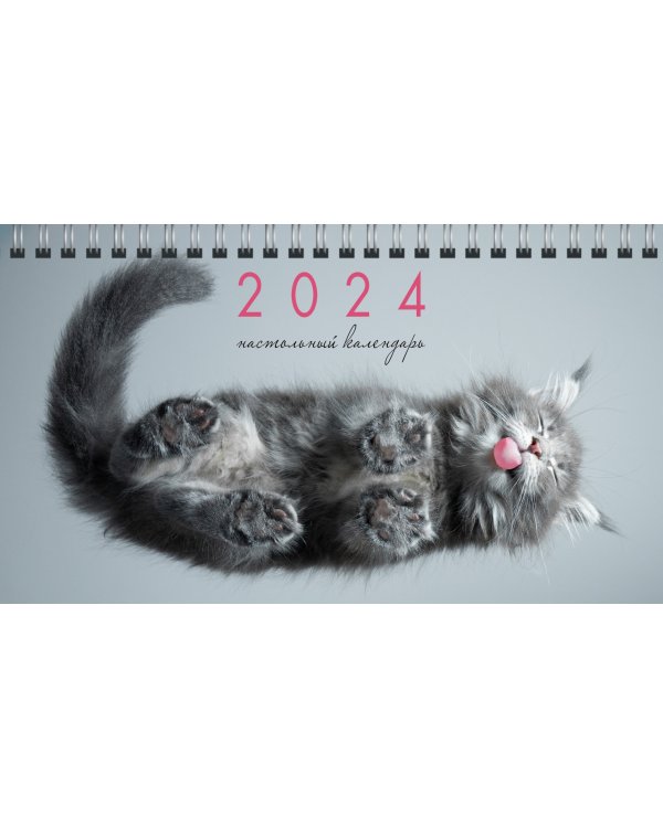 Календарь настольный на 2024 год Котики 1