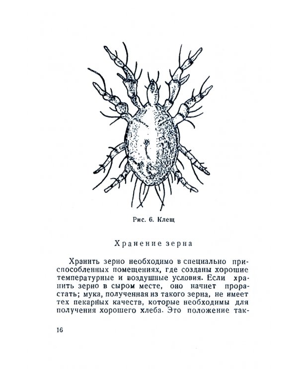 Узбекский хлеб и его производство