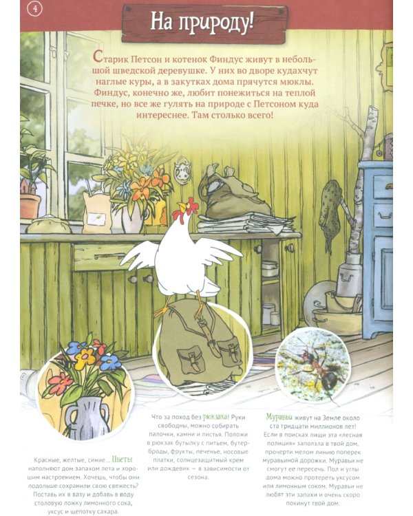 Петсон и Финдус на природе