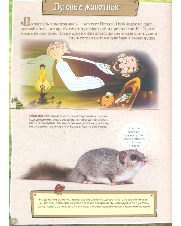 Петсон и Финдус изучают животных