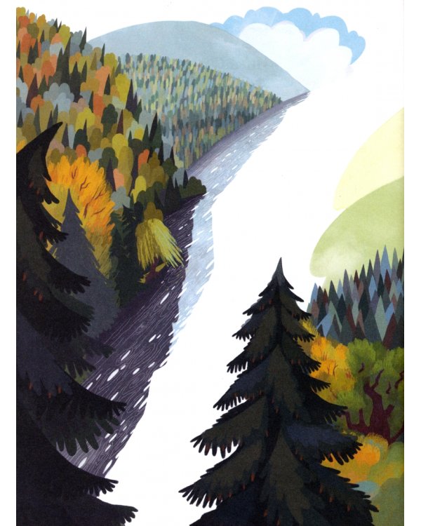 Бобрёнок Бом и скрипка филина