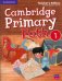 Cambridge Primary Path. Level 1. Teacher's Edition