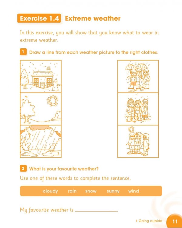 Cambridge Primary Science. Activity Book 2