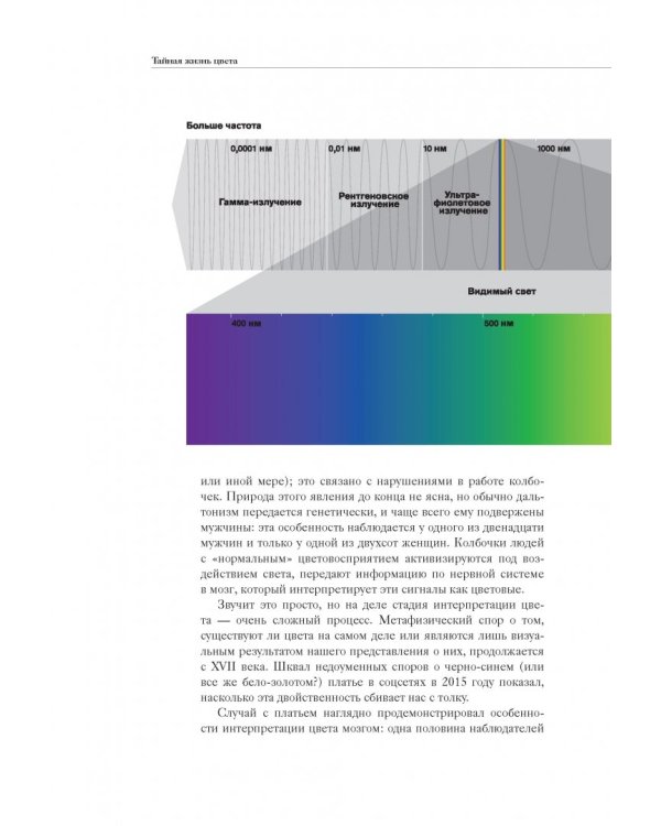 Тайная жизнь цвета