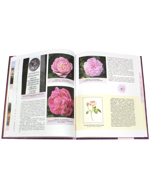 Императорский розовый сад