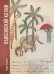 Абиссинский калам. Материалы экспедиции Николая Гумилева по исламу и исламской книжности Восточной Африки