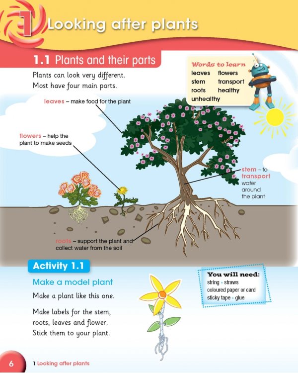 Cambridge Primary Science. Stage 3. Learner's Book