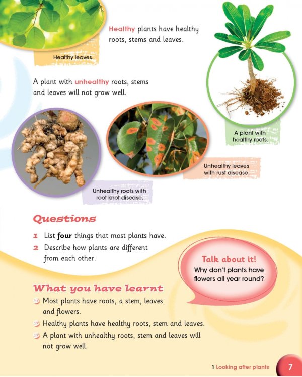 Cambridge Primary Science. Stage 3. Learner's Book