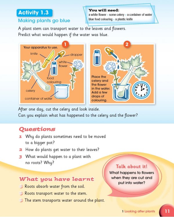 Cambridge Primary Science. Stage 3. Learner's Book