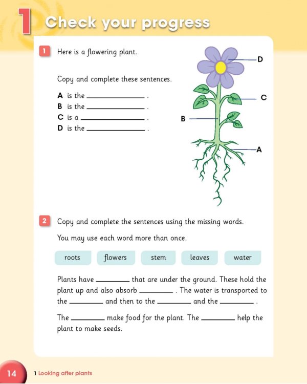 Cambridge Primary Science. Stage 3. Learner's Book