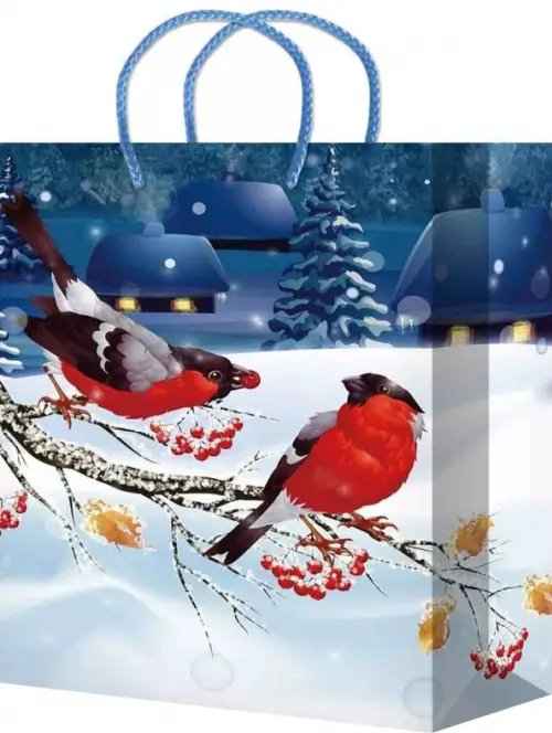 Пакет подарочный ламинированный