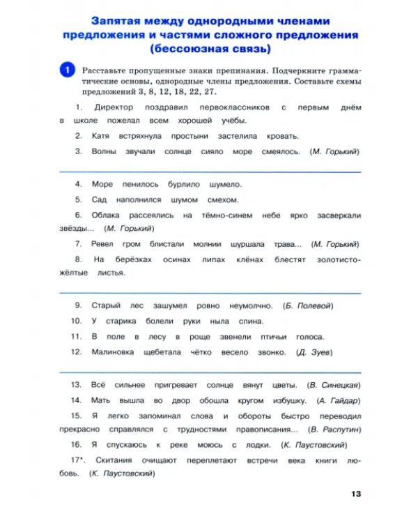 Русский язык. 5 класс. Тренажёр. Пунктуация